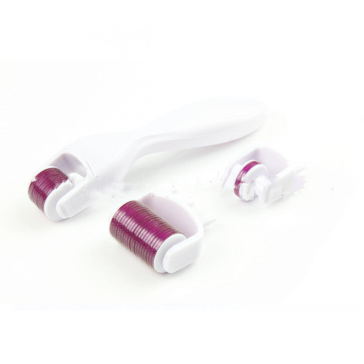 3-in-1 Microneedle Roller Set for Skin Care