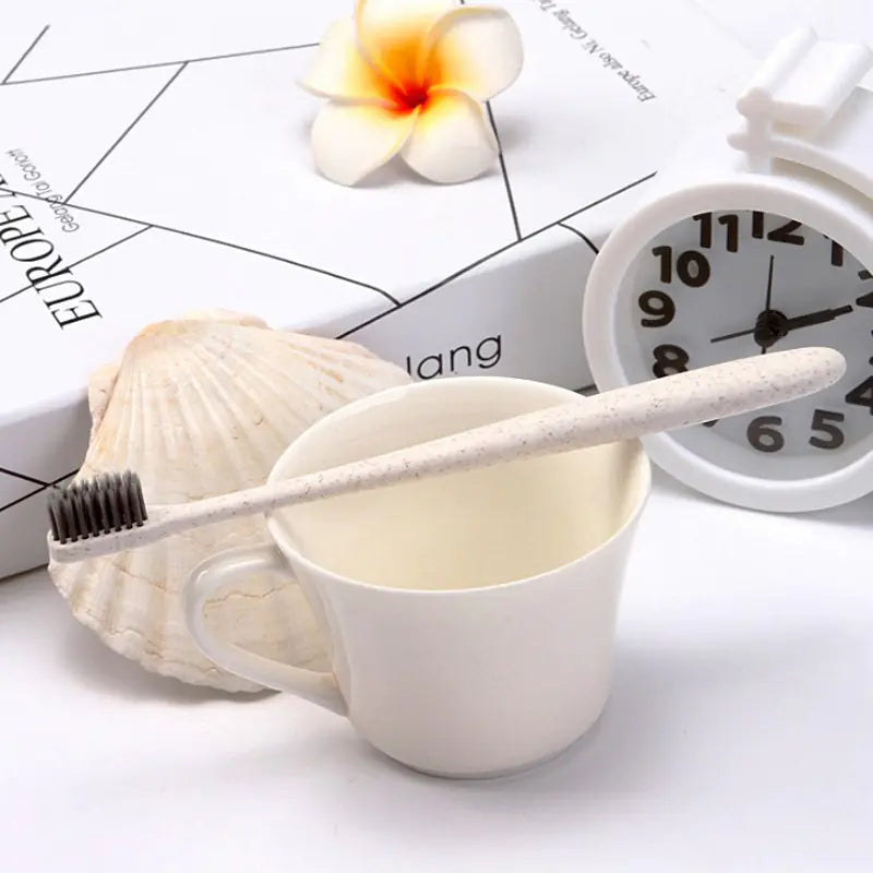 Portable Bamboo Charcoal Eco-Friendly Toothbrush Set