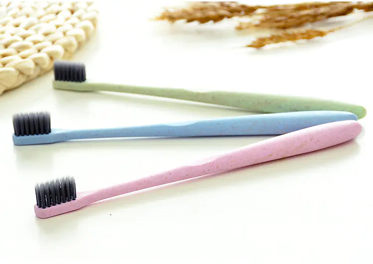 Portable Bamboo Charcoal Eco-Friendly Toothbrush Set