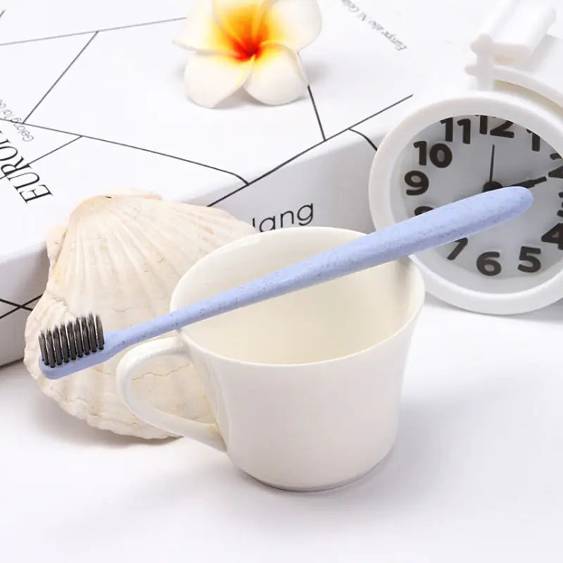 Portable Bamboo Charcoal Eco-Friendly Toothbrush Set