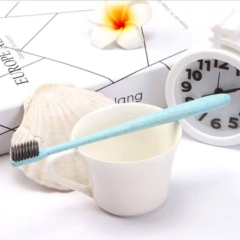 Portable Bamboo Charcoal Eco-Friendly Toothbrush Set